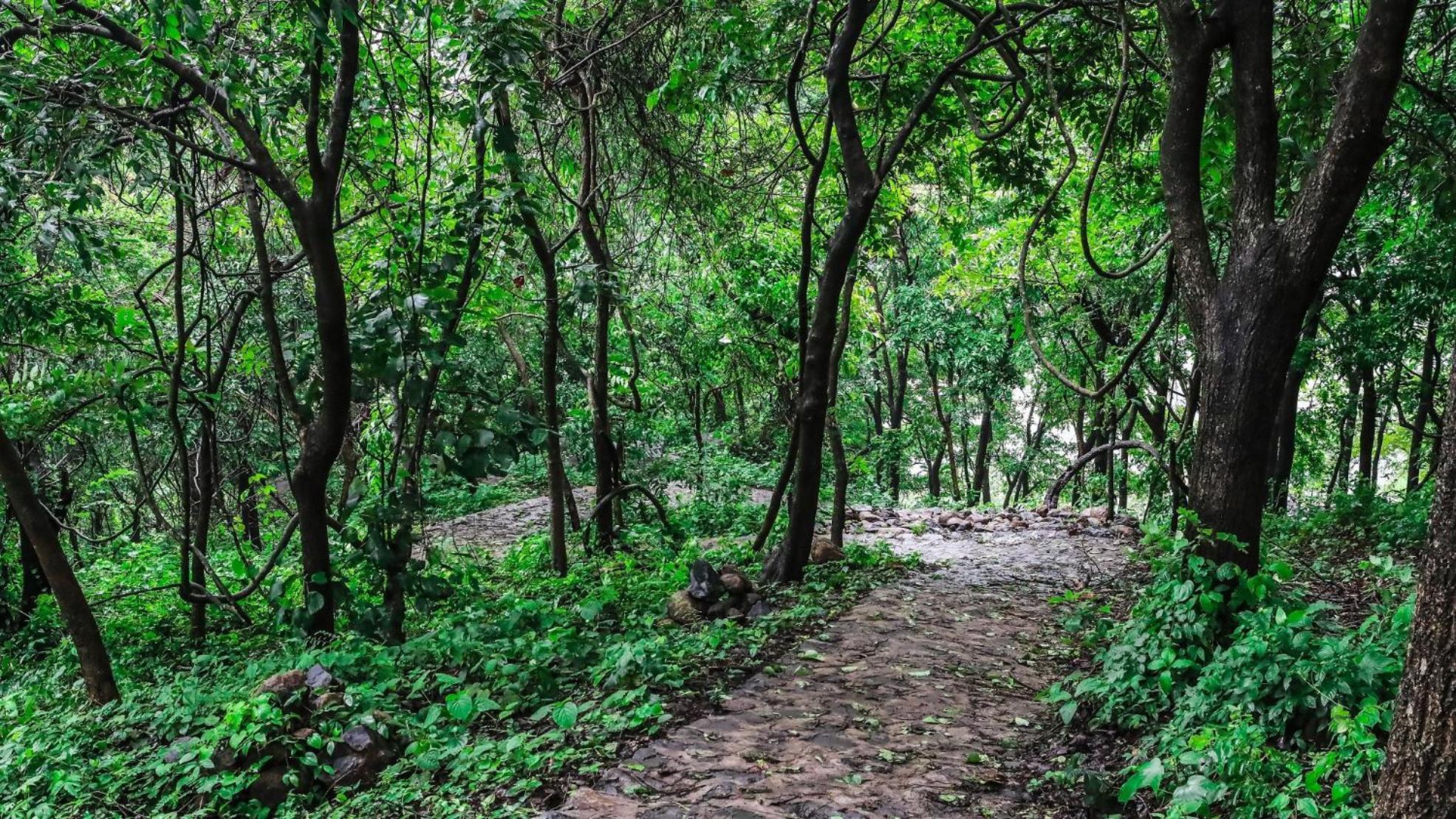 Misty Green Hills Parks & Resorts Kondotty Екстер'єр фото